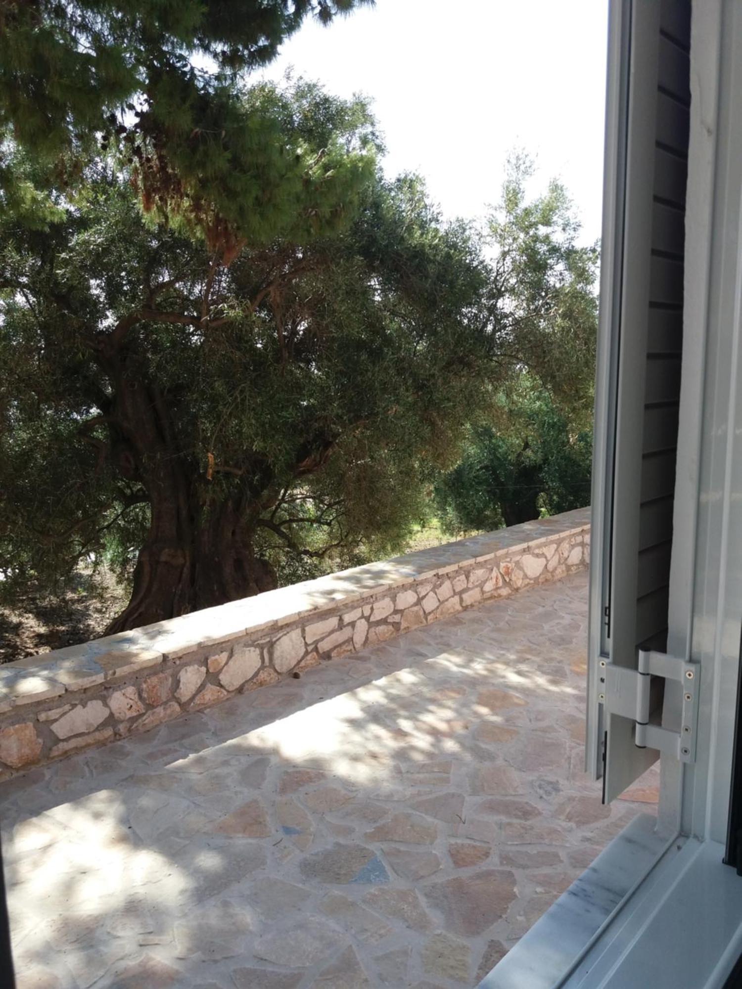 Belvedere Zakynthos Studios Vasilikí Szoba fotó